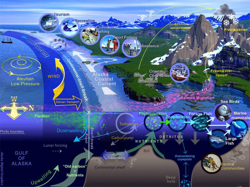 An ecosystem is a geographically specified system of organisms, including humans, their environment, and the processes that control their dynamics.