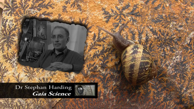 Anima Mundi screenshot Stephan Harding