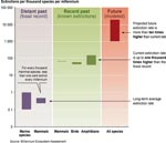 Extinction rates