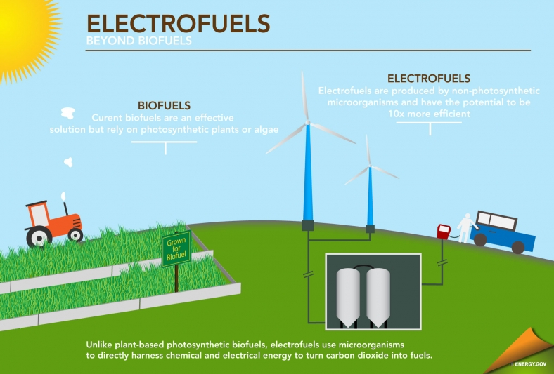 Electrofuels: Tiny Organisms Making a Big Impact