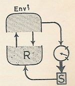 Feedback loops