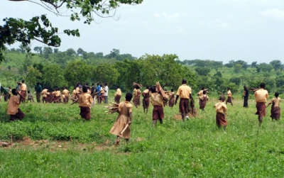 people collecting wood