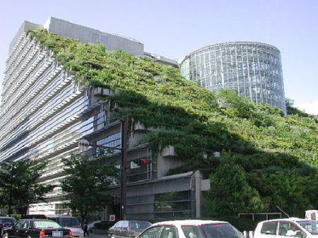 Green Building 